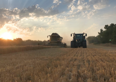 un paysage moissonneuse batteuse et tracteur